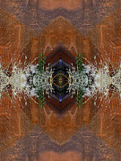 Moonflower Canyon Petroglyphs Photograph by Dan Norris