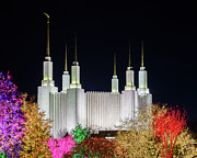 Mormon temple in Washington DC with xmas lights Photograph by Steven Heap