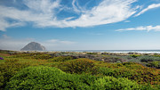 Morro Bay State Beach Photograph by Matthew DeGrushe