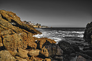 Dramatic Contrast Photograph by Abigail Diane Photography