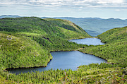 Mountain Lakes of Quebec Photograph by Elvira Peretsman