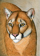 Mountain Lion Cougar Wild Cat Pastel by Rebecca Wang