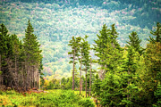 Mountainside Photograph by Jeff Sinon