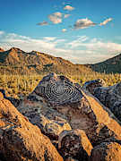 Native American Indian Petroglyph in Saguaro National Park, Ariz Photograph by FeelingVegas Wall Art and Prints