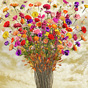 Nature's Transfiguration Photograph by Steven Lutz