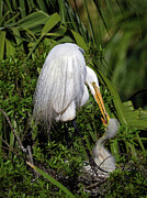 New Life Photograph by Gina Fitzhugh