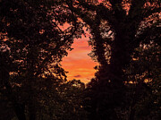 New Mexico - Sunset Photograph by Robert Niemeier