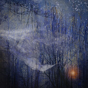 Night Song Digital Art by Gina Harrison