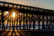 November Morning at Folly Beach Pier Photograph by Douglas Wielfaert