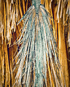 October 2022  Fading Away Photograph by Alain Zarinelli