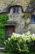 Old English Thatched Cottage Photograph by Abigail Diane Photography