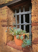 Old Historic Tuscan Windowsill Photograph by Rebecca Herranen