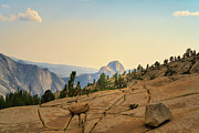 Olmsted Point and Half Dome, Yosemite National Park Photograph by Abigail Diane Photography