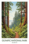 Olympic National Park Painting by Land of Dreams