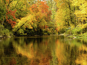 On Golden Pond Photograph by Dodie Ross