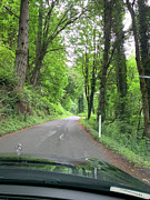 On the Road Photograph by Juliette Becker