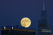Only One NYC Skyline Photograph by Susan Candelario