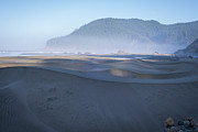 Oregon Coast Study no. 992 Photograph by Jonathan Babon