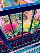 Out My Window Photograph by Juliette Becker