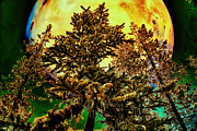 Out of this world in the woods Digital Art by Bruce Block