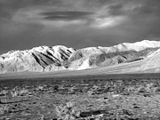 Out West at the Last Chance Range Photograph by Joe Schofield