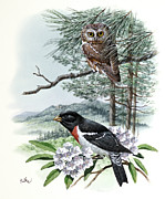 Owl And Grosbeak Painting by Don Balke