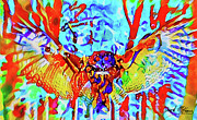 Owl Wings Open Ver 1 Digital Art by David McKinney