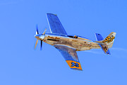 P-51D Precious Metal Photograph by William Briscoe