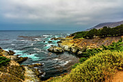 Pacific Coast Photograph by Deb Beausoleil
