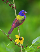 Painted in the Morning Photograph by Jim E Johnson