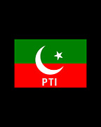 Pakistan PTI Party Flag Digital Art by Flippin Sweet Gear