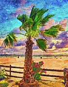 Palm tree in a flower pot and ornamental plants on the beach in the evening - digital painting Digital Art by Nicko Prints