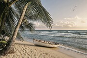 Palm Trees and a Boat Digital Art by David Manlove