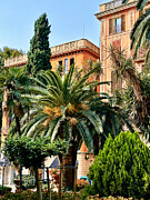 Palma de Mallorca - Classic Architecture and Palm Trees Photograph by Travel Essayist
