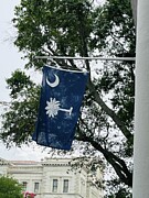 Palmetto Photograph by La Dolce Vita