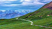 Panoramas of Denali National Park Photograph by Douglas Wielfaert