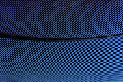 Parrot Feather Macro Texture Photograph by Severija Kirilovaite