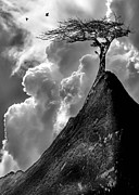 Peaks and valleys Photograph by Sofie Conte