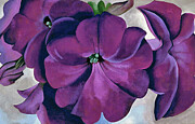 Petunias - Modernist purple flower painting by Georgia O'Keeffe Painting by Georgia O'Keeffe