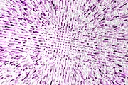 Pink color graphics with small geometric squares Photograph by Severija Kirilovaite