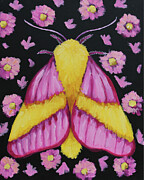 Pink Moth Painting by Lucia Stewart