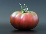 Plump Photograph by Joe Schofield