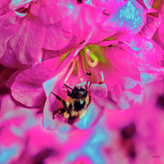 Pollinating bee Digital Art by Bruce Block