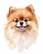 Pomeranian Puppy Portrait Painting by Land of Dreams