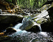 Stony Fork Pools Photograph by Steven Nelson