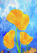 Poppy with texture 1 Photograph by Sue Leonard