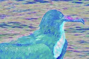 Portrait Of A Frigate Bird Digital Art by Bruce Block