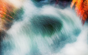 Poseidon's Watch Photograph by Shannon Williams