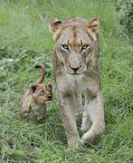 Powerful Photograph by Rebecca Herranen