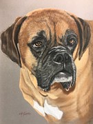 Presley Pastel by Marlene Little